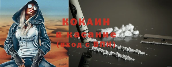 индика Пересвет