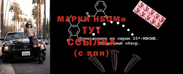 дурь Пестово