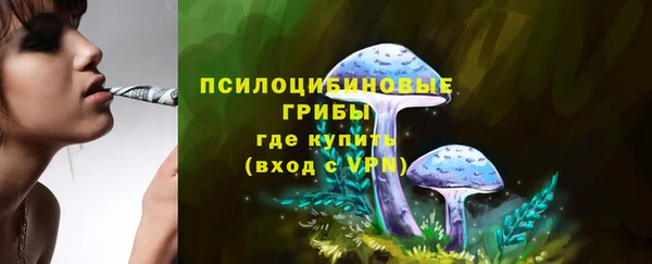 индика Пересвет