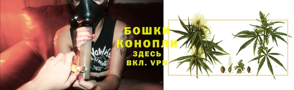 дурь Пестово