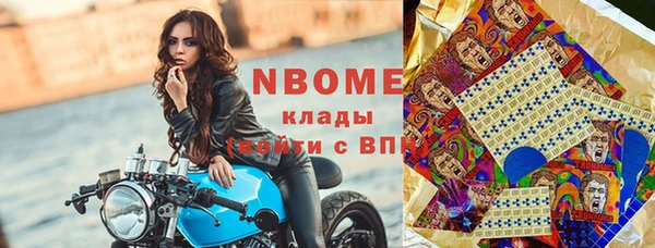 индика Пересвет