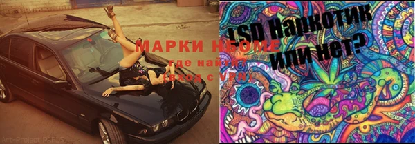 индика Пересвет
