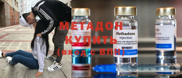 индика Пересвет