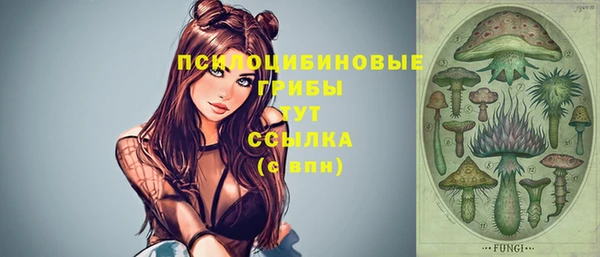 индика Пересвет