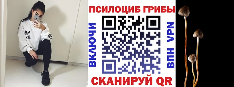 Галлюциногенные грибы GOLDEN TEACHER  хочу   гидра tor  Фрязино 